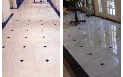 White Carrara Marble Restoration in McLean, VA