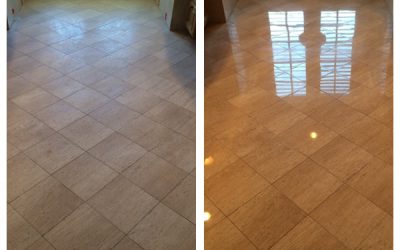 Navona Marble Residential Restoration in Potomac MD