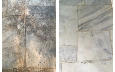 Marble porch floor in Gaithersburg, MD gets polished!