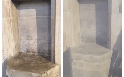 Niche Restoration ~ Washington, DC