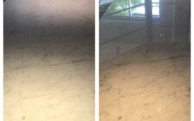Carrera Marble Conference Table Refinished in Washington, DC