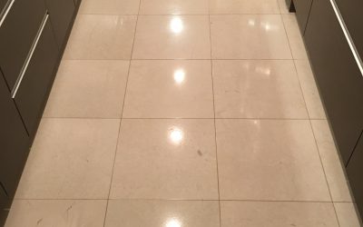 Limestone Floor and Counter Restoration in Georgetown, D.C.
