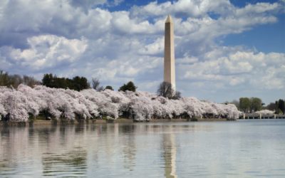 History and Stone in Washinton, DC | Things We Love